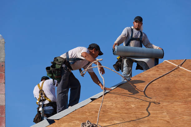 Best Roof Waterproofing Services  in Ellsworth, KS