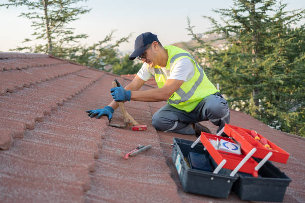 Best Roof Inspection Near Me  in Ellsworth, KS